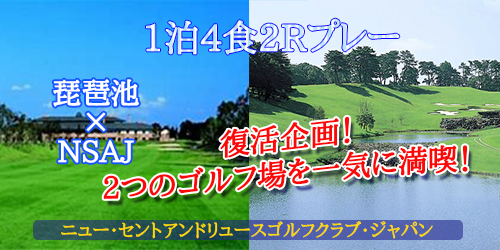 NSAJ×琵琶池